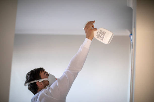 Best Mold Damage Repair  in Priest River, ID