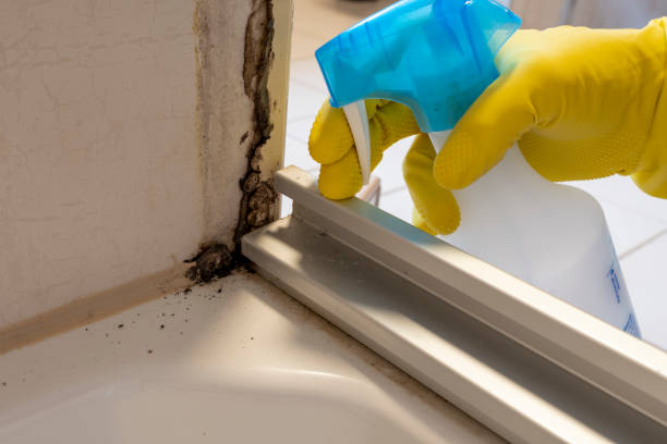 Water Damage Restoration in Priest River, ID
