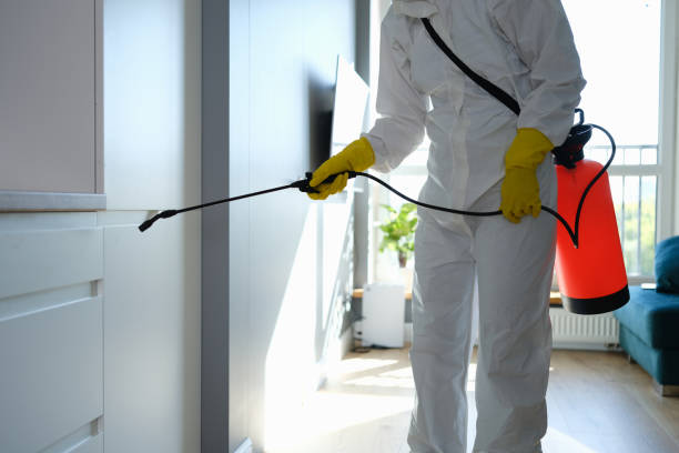 Best Mold Removal Specialists  in Priest River, ID