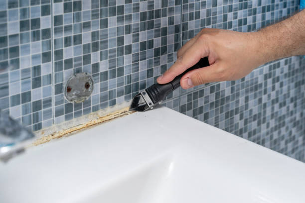 Best Same-Day Mold Removal  in Priest River, ID