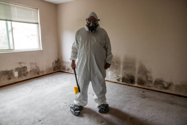 Best Toxic Mold Removal  in Priest River, ID